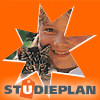 Studieplan Dierenverzorging cursus
