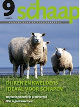 Abonnement op het blad Het Schaap