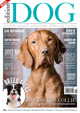 Edition Dog magazine proef abonnement