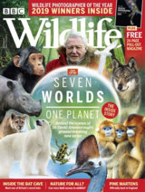 Abonnement op het blad BBC Wildlife Magazine