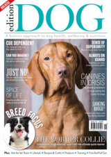 Abonnement op het blad Edition Dog magazine