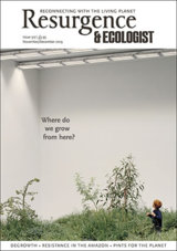 Abonnement op het blad Resurgence & Ecologist magazine