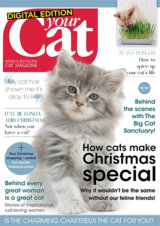 Abonnement op het blad Your Cat magazine