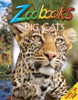 Abonnement op het blad Zoobooks