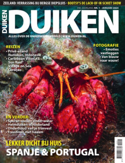 Bestelformulier Duiken magazine