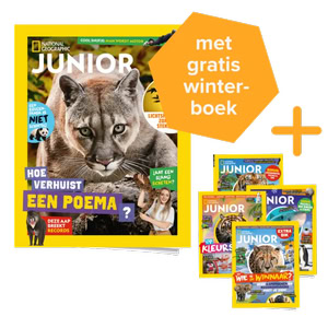 Packshot National Geographic Junior abonnement