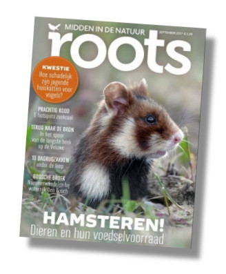 Packshot Roots magazine abonnement