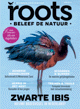 Het tijdschrift Roots